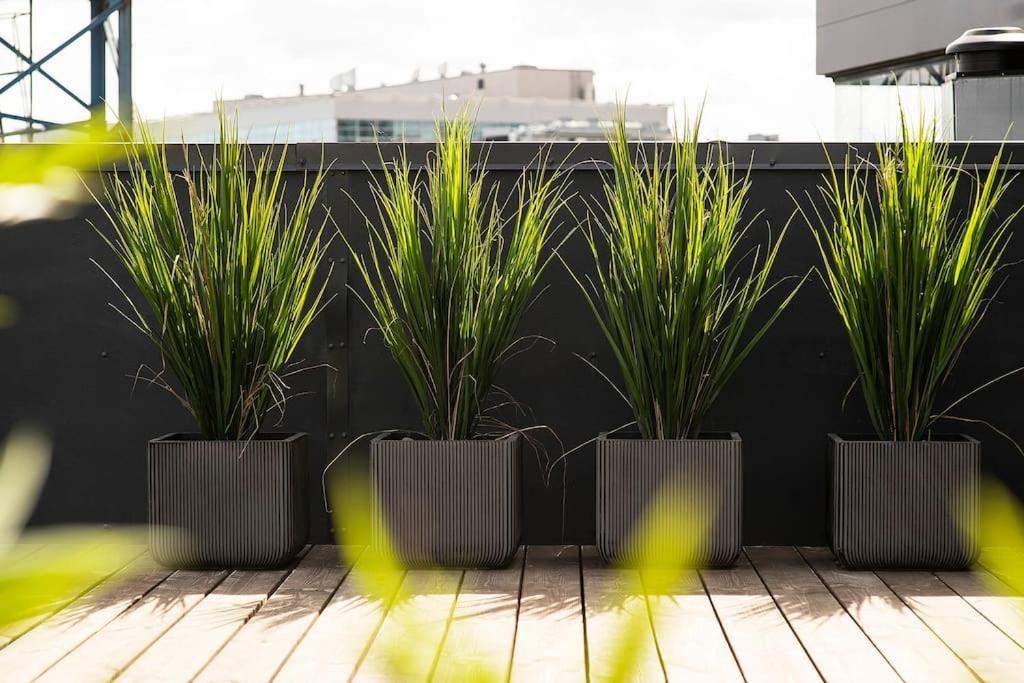 W Apartments Uus-Hollandi With Sauna Tallin Exterior foto